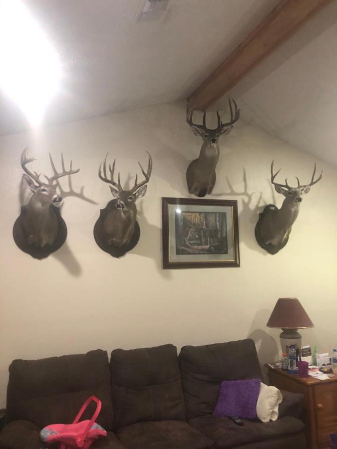Knights Inn Bunkie Zewnętrze zdjęcie